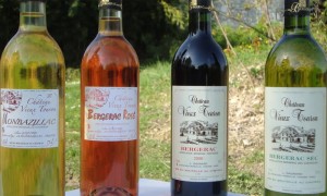 Domaine du vieux Touron