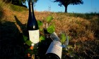 Domaine des Bardes